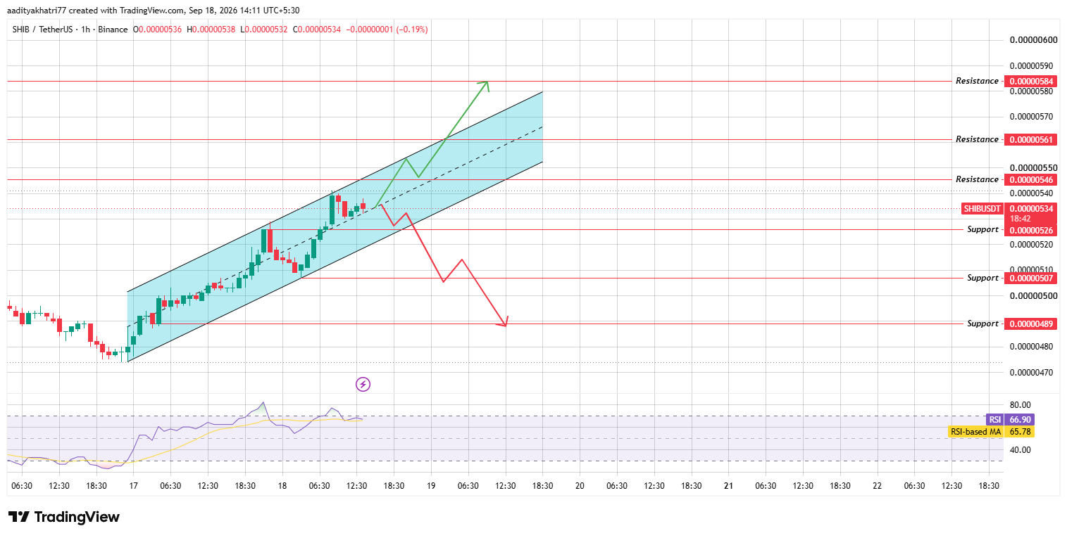 Technical Analysis for Shiba Inu Coin Technical Analysis for Shiba Inu Coin