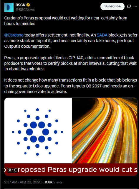 Cardano latest news today