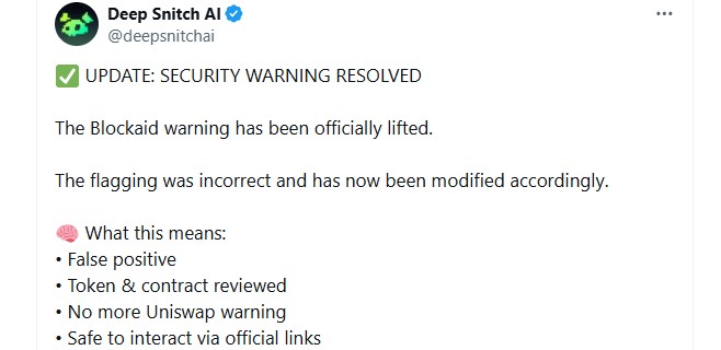 DeepSnitch AI Security Warning Resolved
