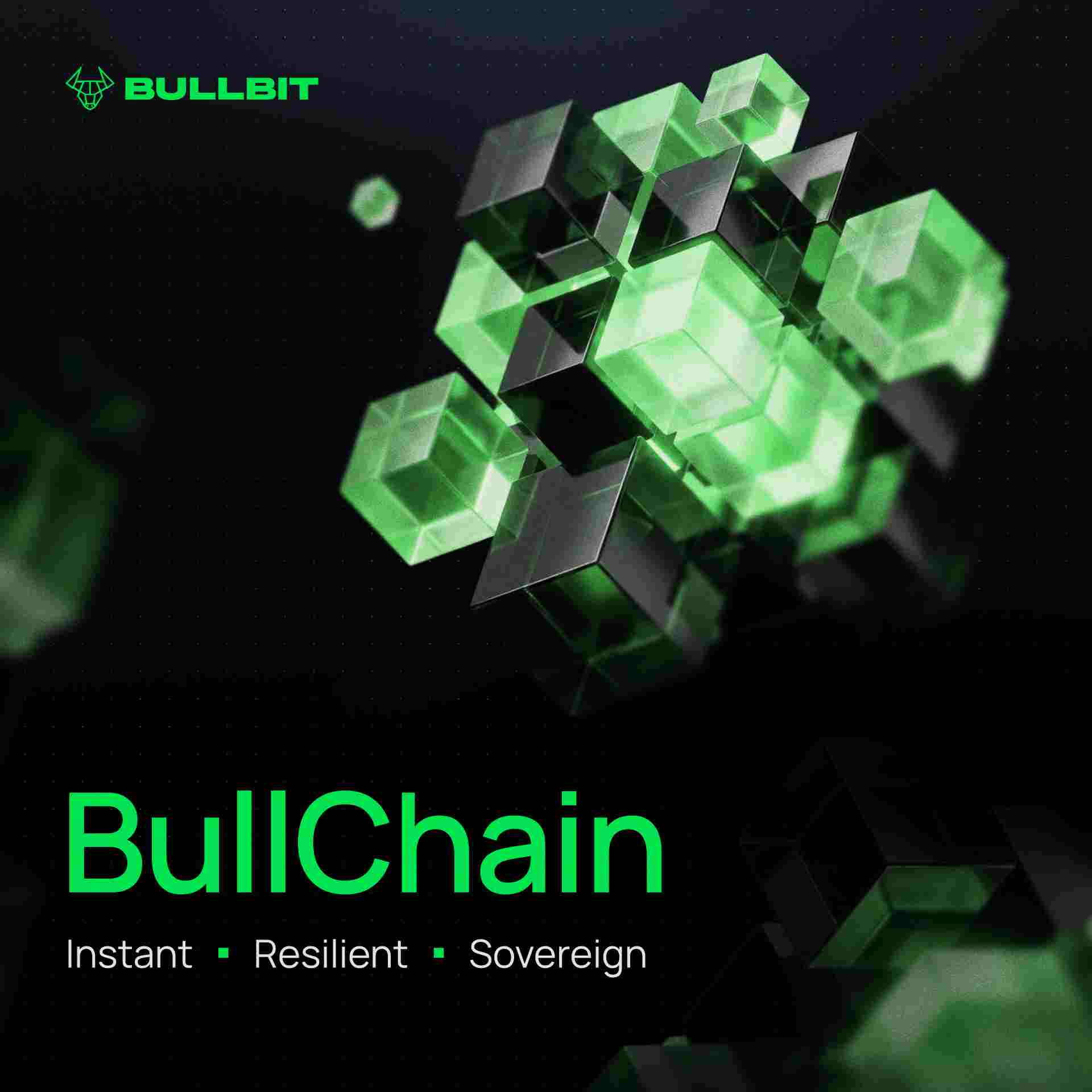 Bullchain Bullchain