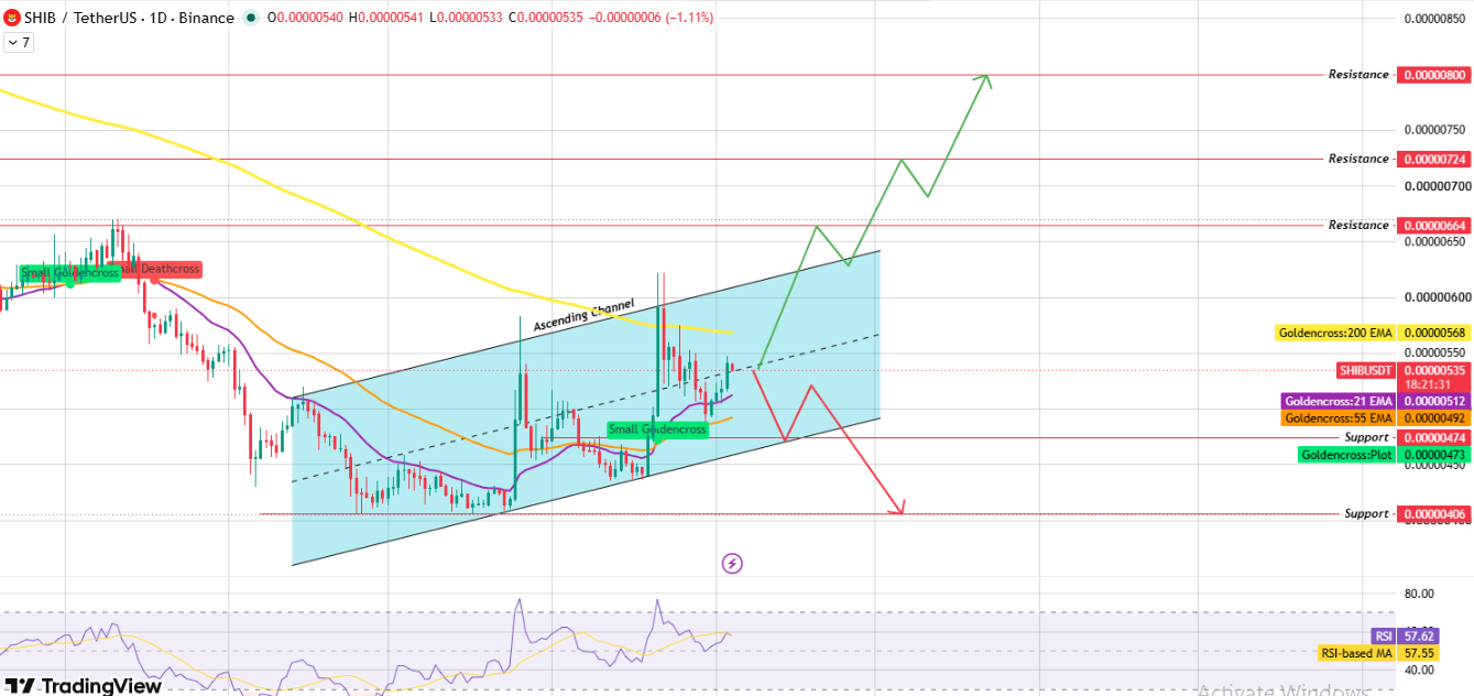Daily Chart of Shiba Inu Coin Daily Chart of Shiba Inu Coin