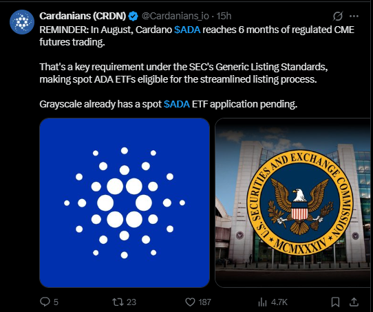 cardanio latest news on x