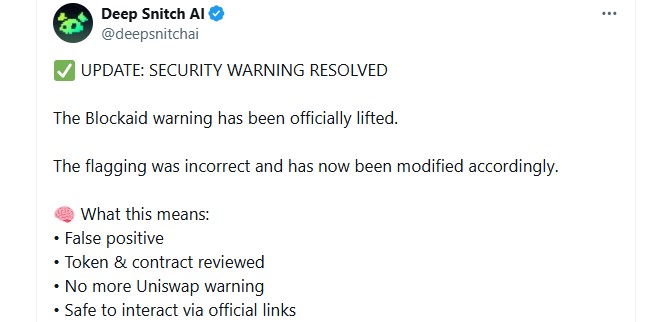 DeepSnitch AI Security Warning Lift Off