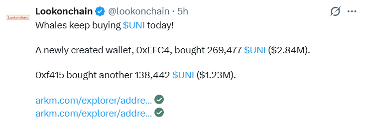 Whale Crypto Buying Whale Crypto Buying