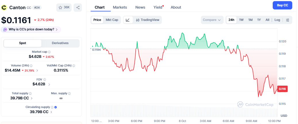 Canton Coin Price Today