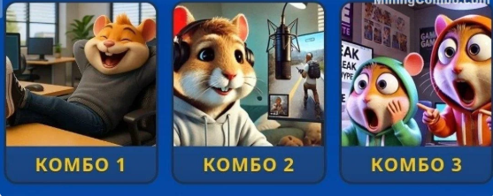Hamster Kombat Daily Combo Hamster Kombat Daily Combo