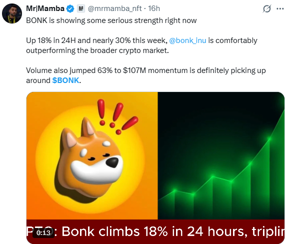 Bonk News Update: Strength Claim Doing the Rounds Bonk News Update: Strength Claim Doing the Rounds