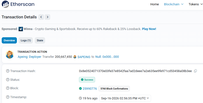 Ethereum Scan token burn 