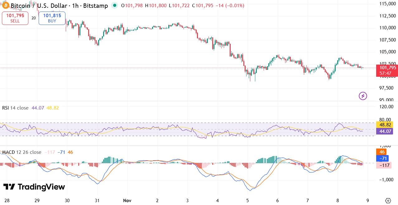 BTC Price Bearish Trend BTC Price Bearish Trend