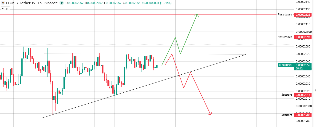 1-Hour Chart Analysis