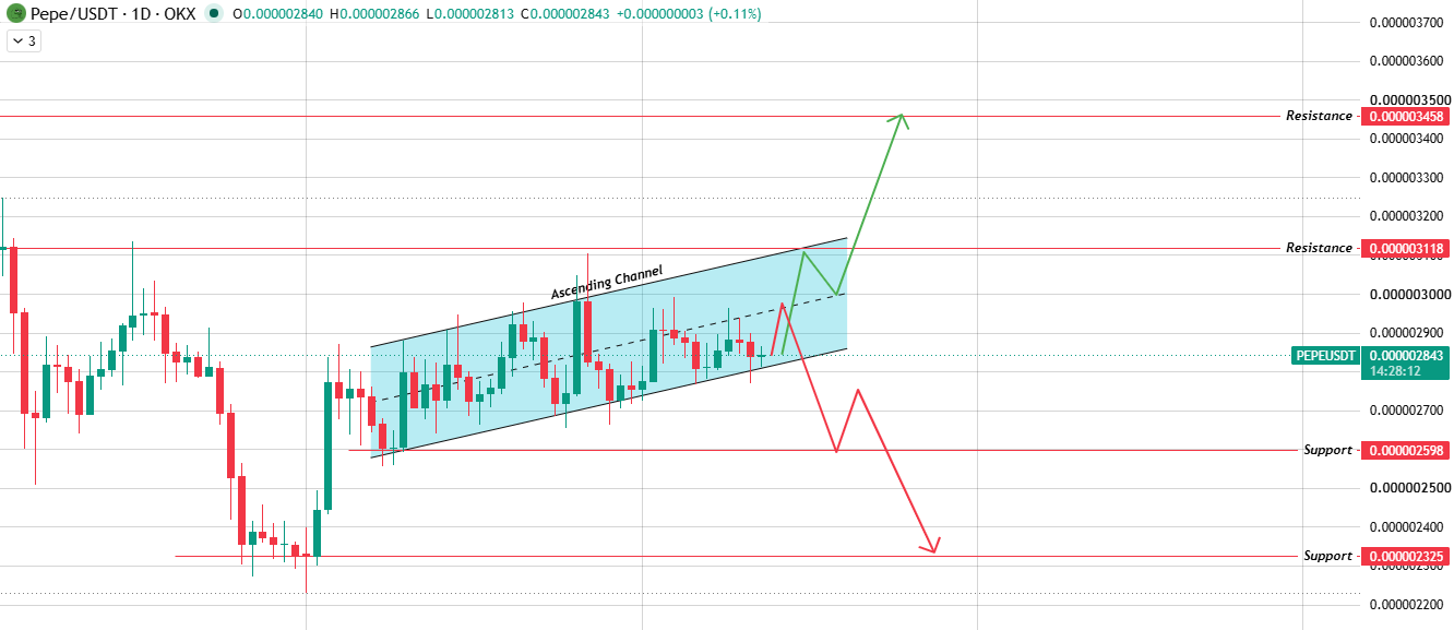 Daily Chart Analysis