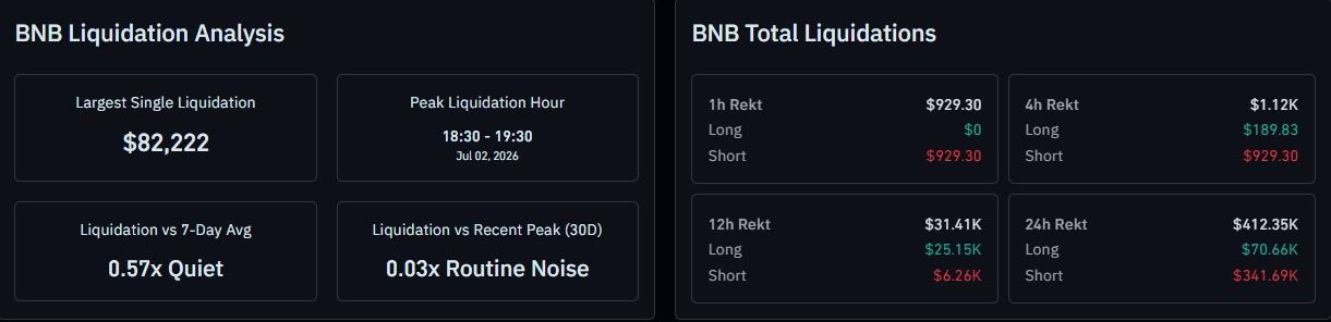 binance coin liquidation data