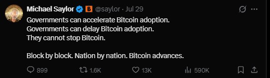 Michael Saylor say about Bitcoin adoption