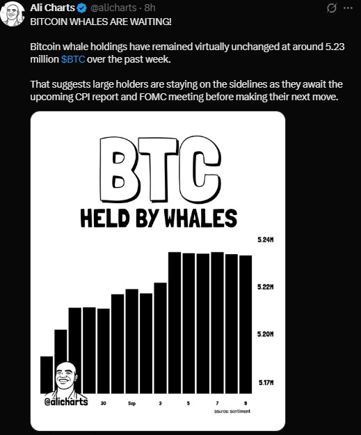 Are Bitcoin Whales Buying or Selling Right Now Are Bitcoin Whales Buying or Selling Right Now