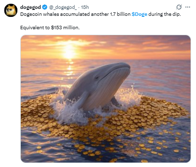 whale holder dogecoin whale holder dogecoin