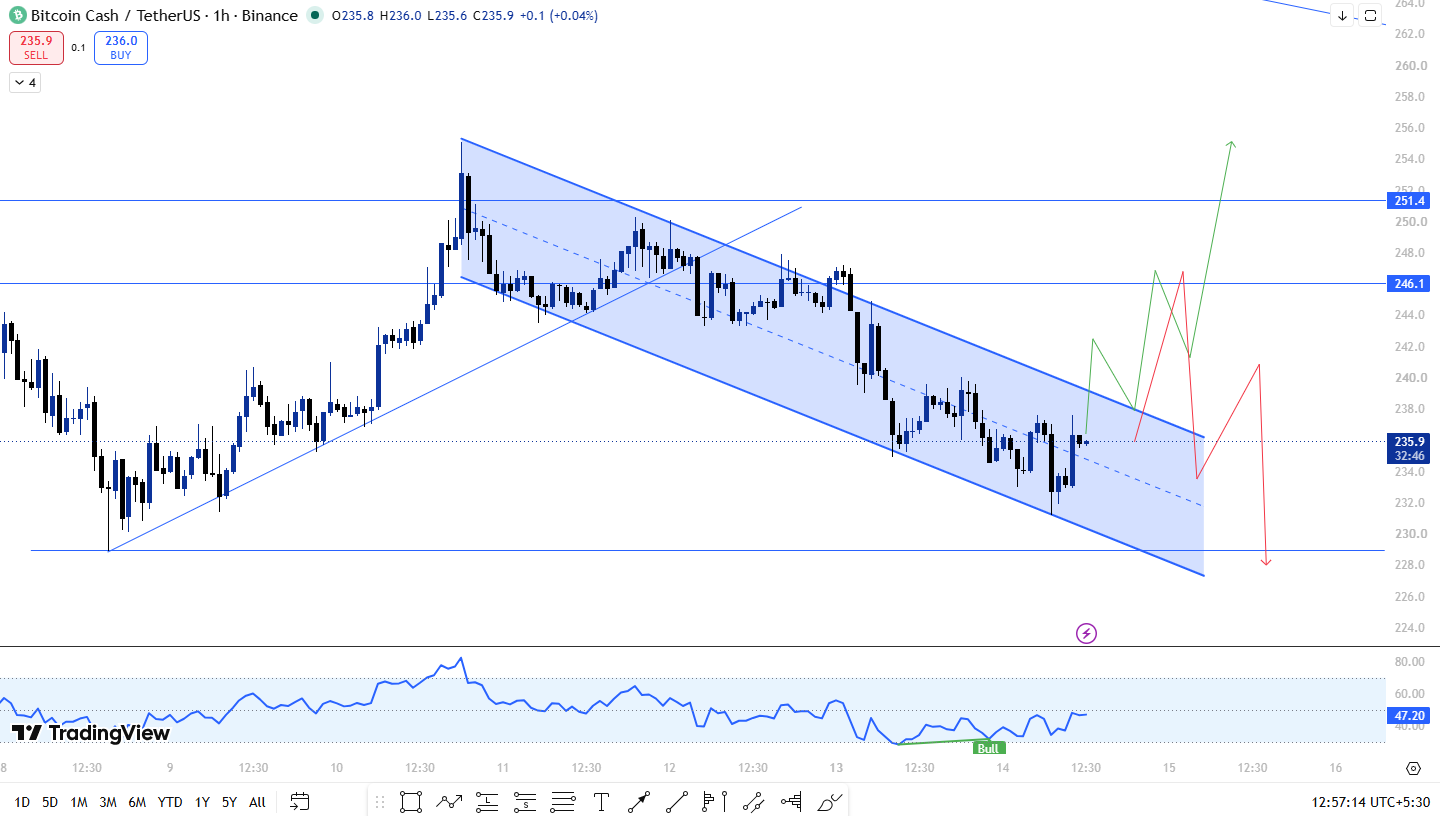 Bitcoin Cash Price Prediction: Chart Analysis Bitcoin Cash Price Prediction: Chart Analysis