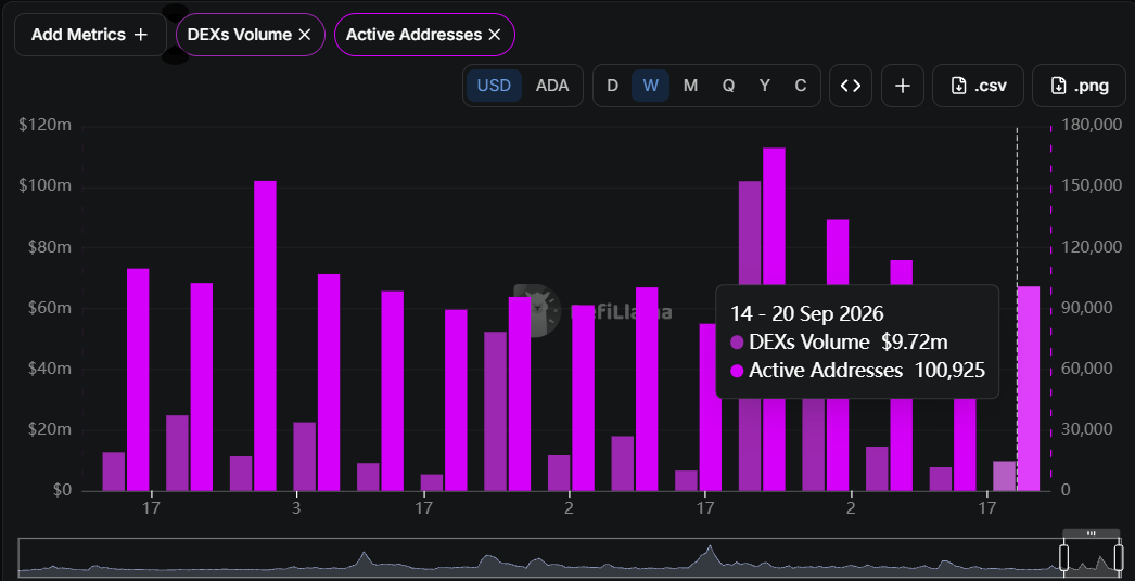 Cardano DEX and Addresses