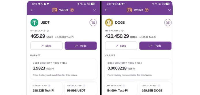 Screenshots show a test wallet holding of USDT and DOGE Screenshots show a test wallet holding of USDT and DOGE