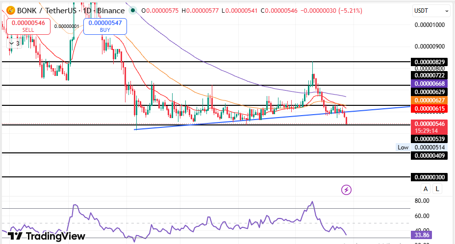 BONK Price Prediction Chart Analysis BONK Price Prediction Chart Analysis