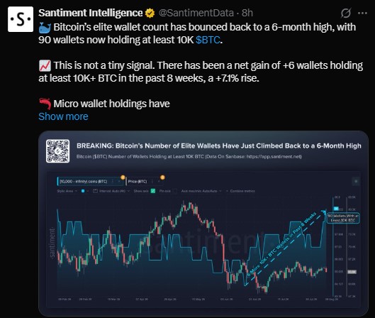 number of wallets holding at least 10,000 BTC has climbed