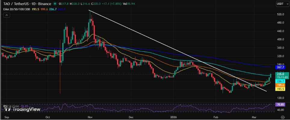 TAO Technical Analysis