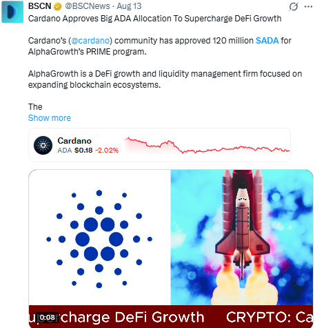 What the Report Says