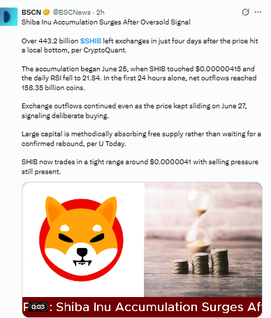 SHIB On-Chain Accumulation