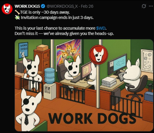 Work Dogs 