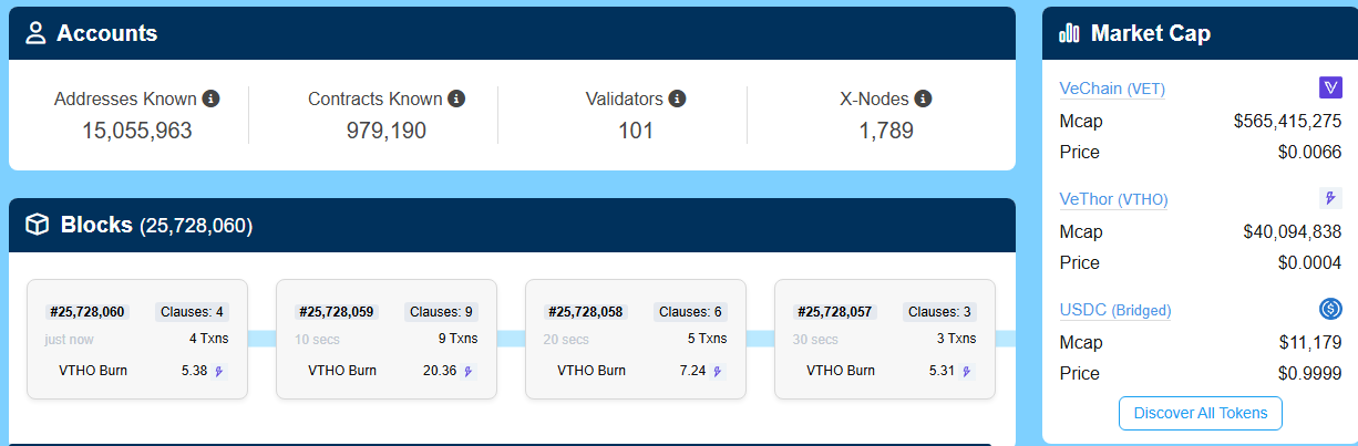 vechain data holders 