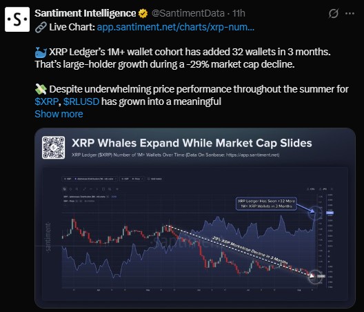 What are XRP whales doing right now