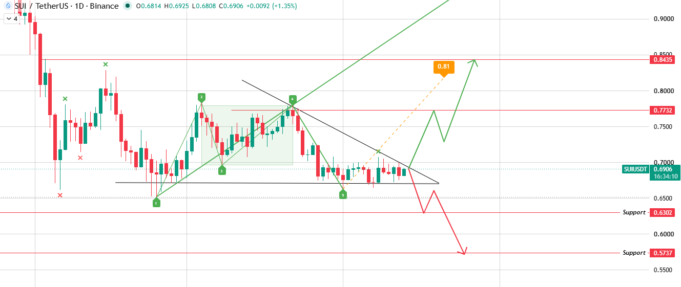 daily chart analysis of sui