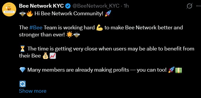 Bee Network KYC Update and Listing