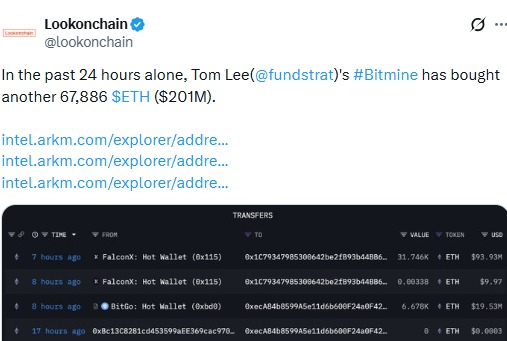 Bitmine Ethereum Purchase