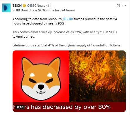 Shiba Inu News Today