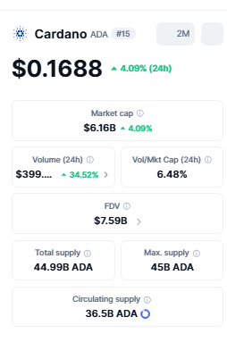 Cardano 24h volume