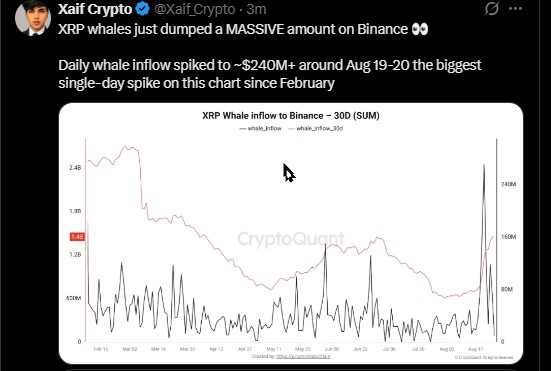 XRP Whales Sending Coins to Binance