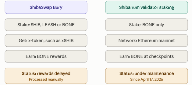 Shiba Inu staking guide and rewards update Shiba Inu staking guide and rewards update