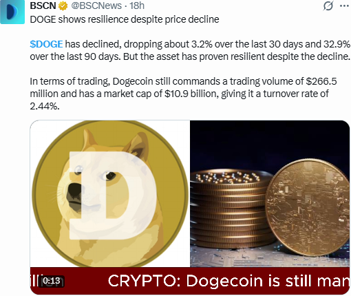 DOGE News: Resilience Despite the Decline DOGE News: Resilience Despite the Decline