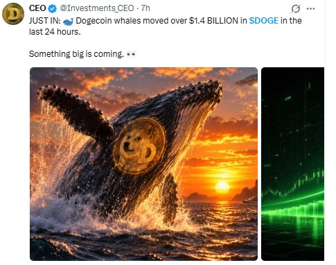 Dogecoin News: Whale Activity Dogecoin News: Whale Activity