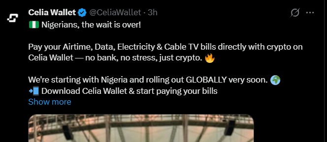 Celia Wallet payment system. Now, Nigerian users
