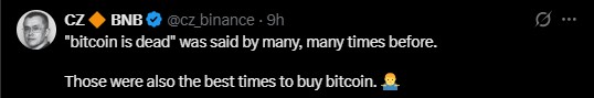 What Did CZ Say About Bitcoin?