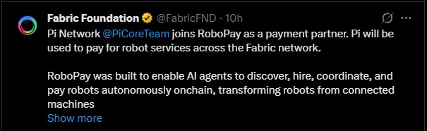 Pi Joins RoboPay as Payment Partner for Robot Services