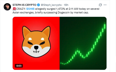 Shiba Inu New Today Shiba Inu New Today