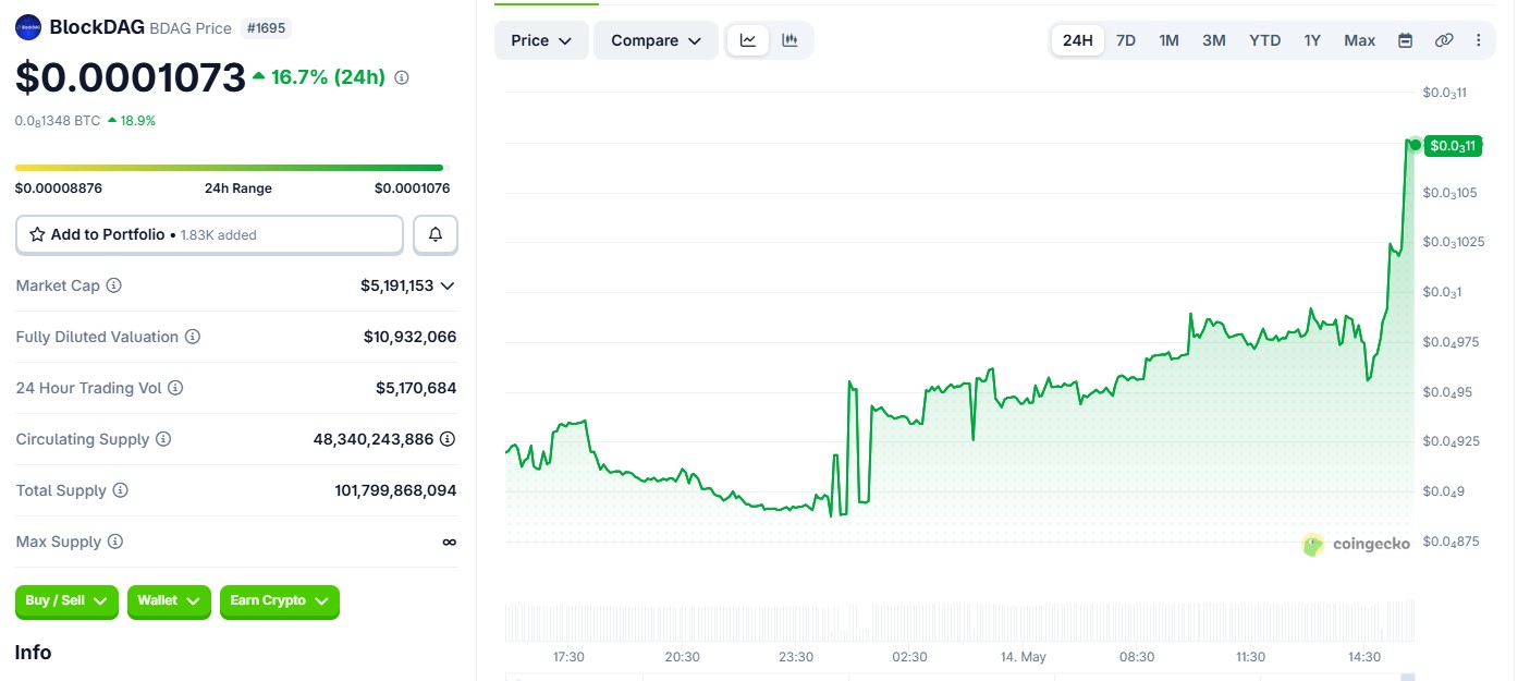 BDAG/USDT 24 HOUR CHART