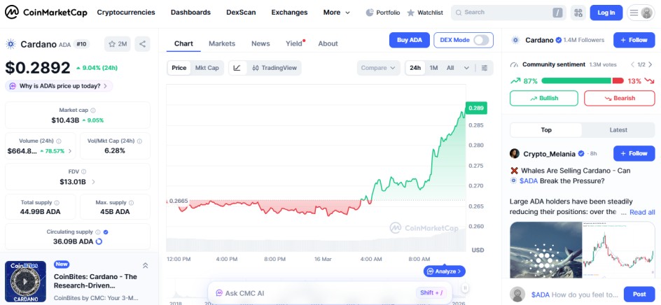 top crypto gainers 24H, ADA cardano top crypto gainers 24H, ADA cardano
