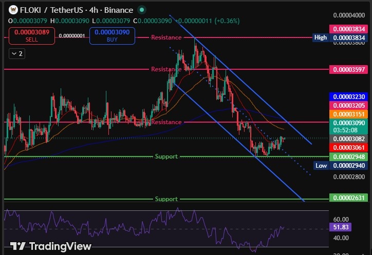 floki chart analysis floki chart analysis