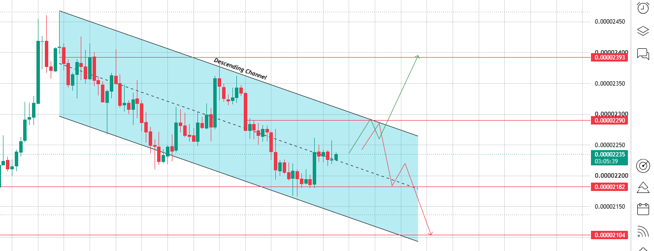 Descending Channel Still Holding FLOKI Down