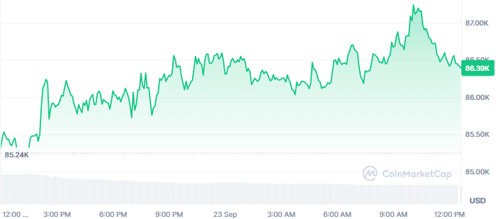 Bitcoin Price Today Bitcoin Price Today