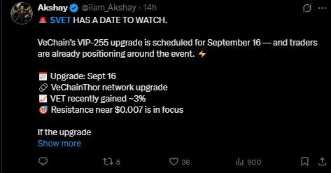 VeChain news today