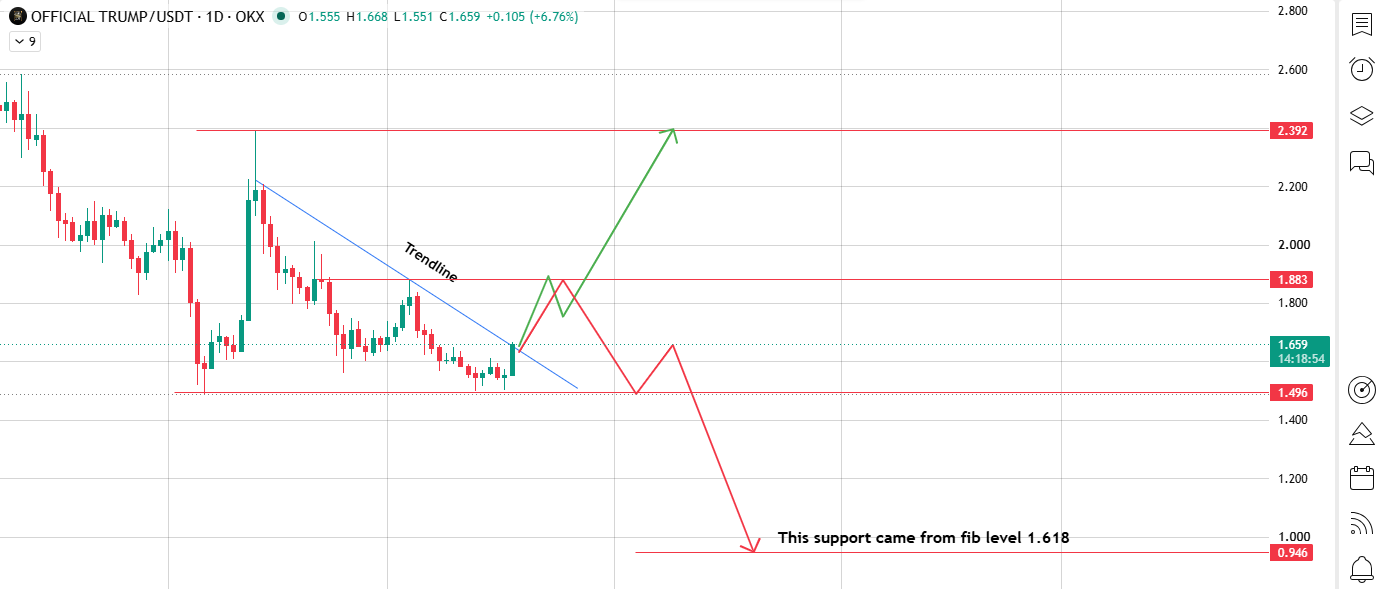 Daily Chart Bouncing Off the Trendline